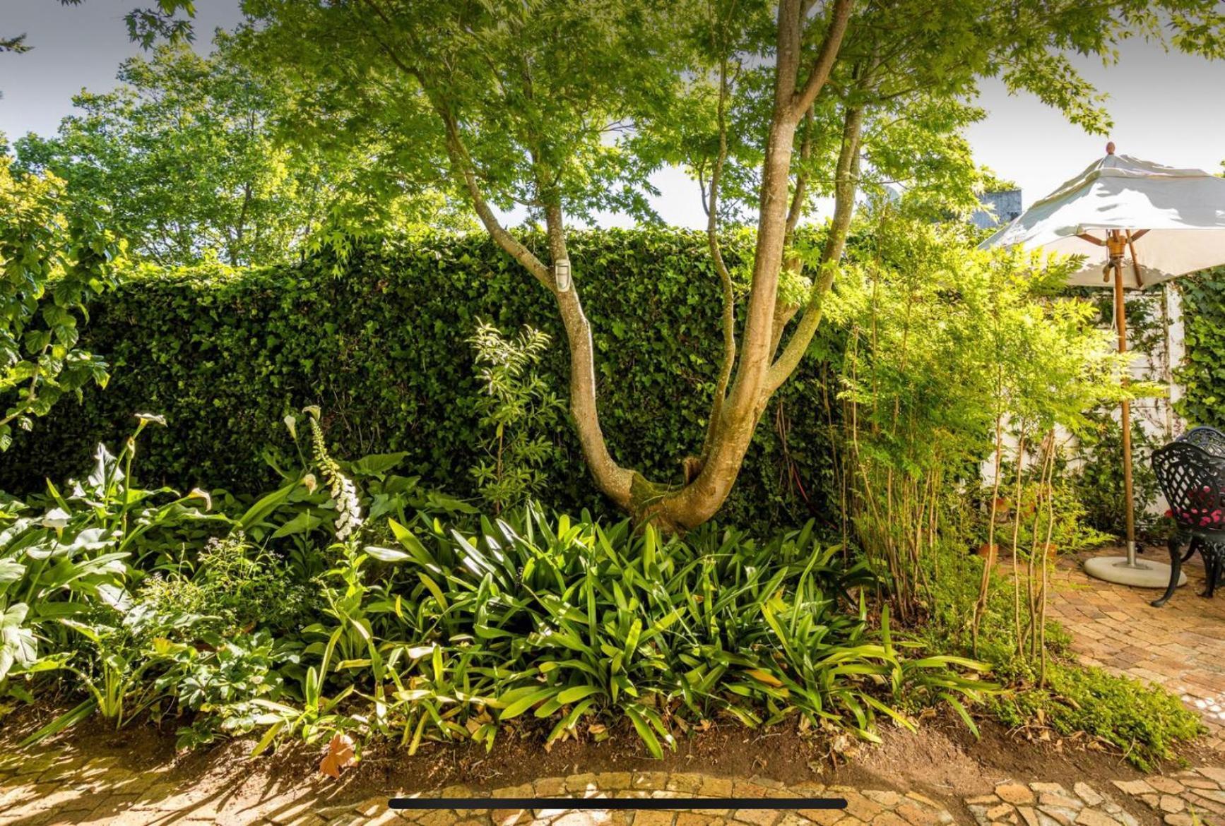 Guest Suite - Leafy Constantia Guest House Kapstadt Exterior foto